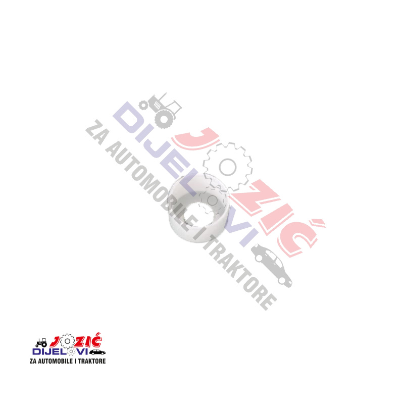 Daisy on the Ohoopee